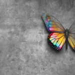 Walking in Purpose
