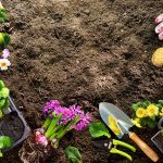 Gardening on a Budget