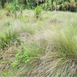 Prairie Possibilities