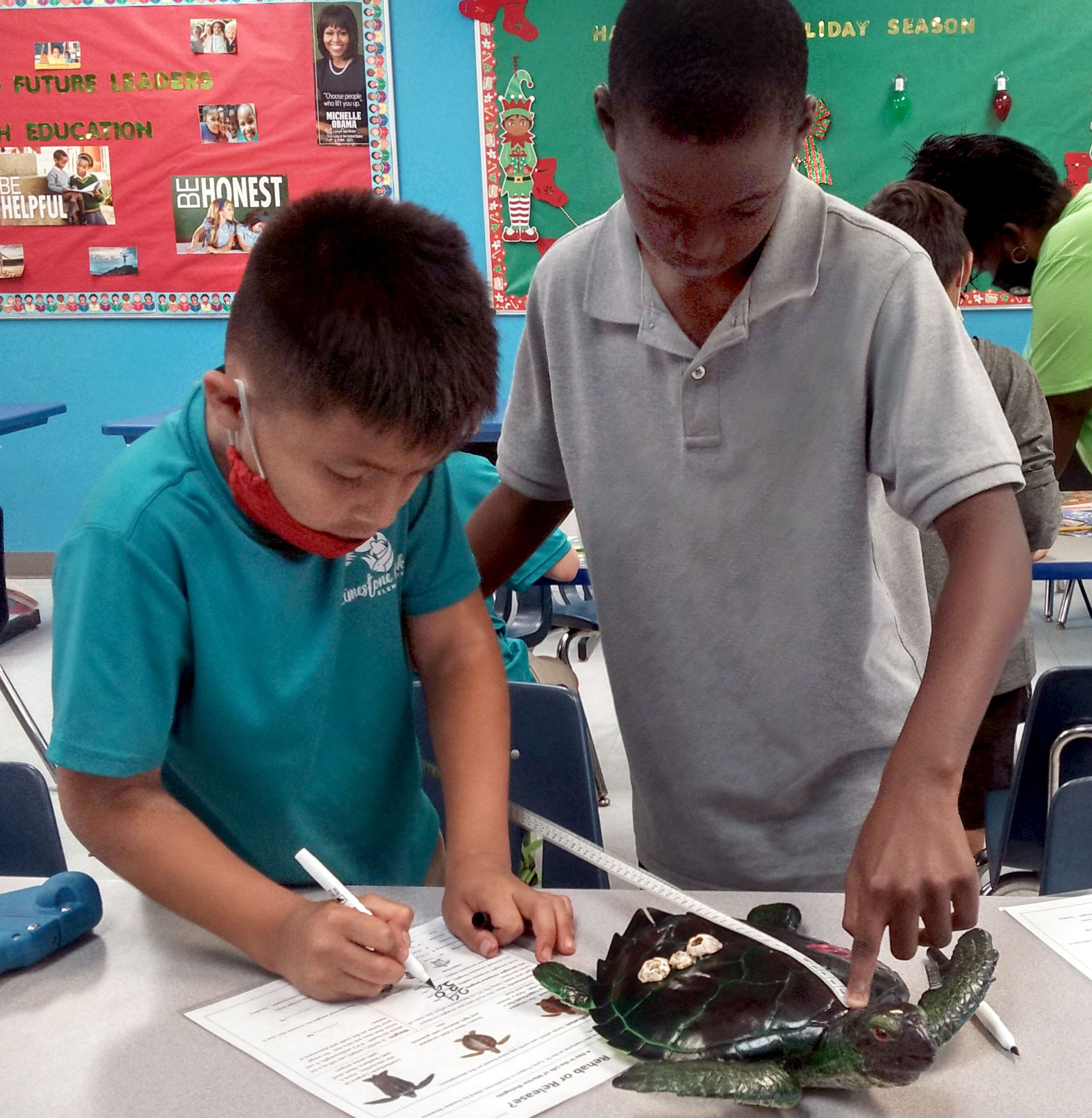 Turtles To Go: Bringing Sea Turtle Science to Life - IN-PERSON