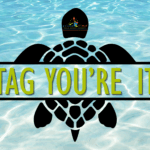 Tag! You're it! Sea Turtle Conservation - IN-PERSON