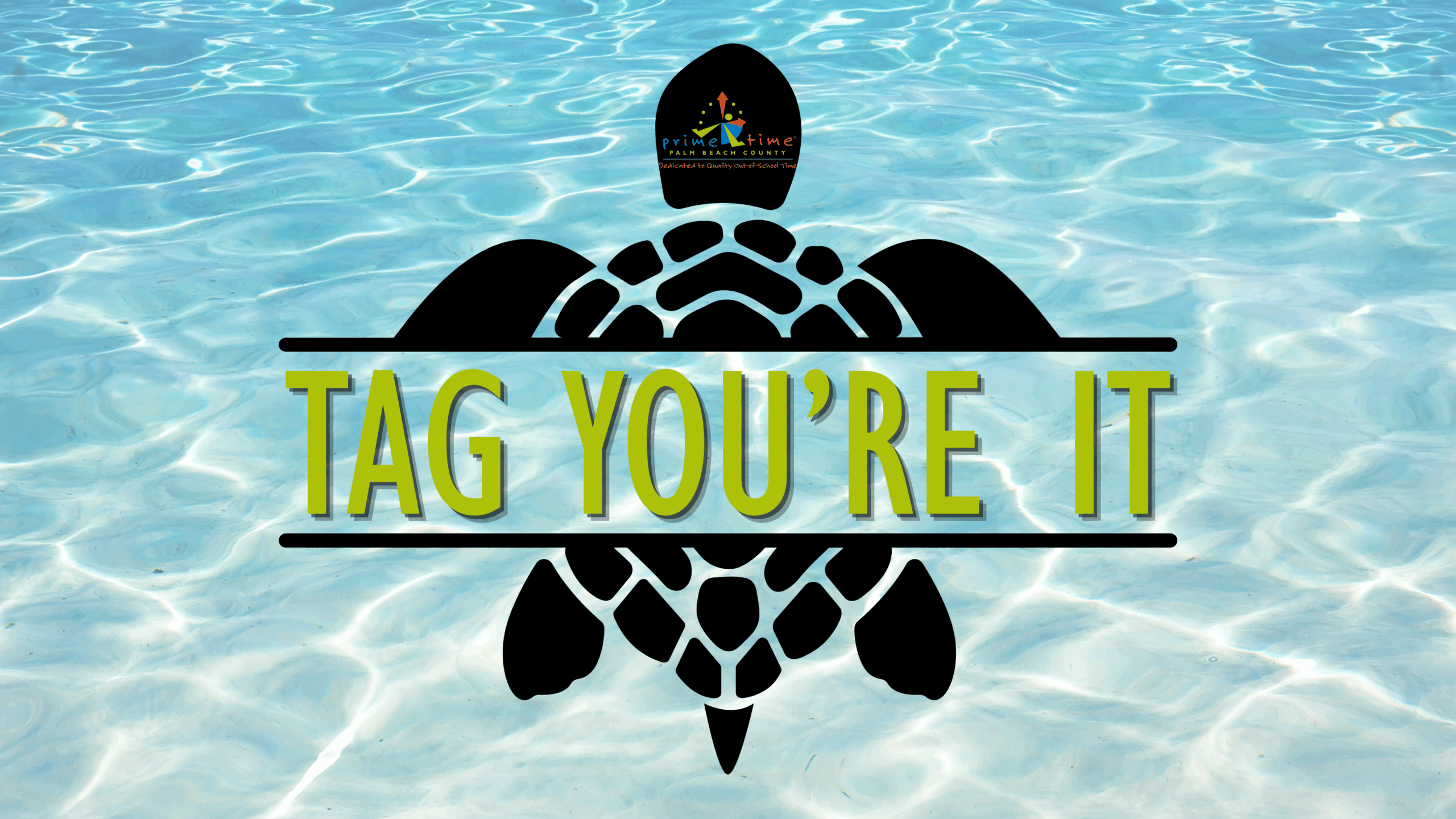 Tag! You're it! Sea Turtle Conservation - IN-PERSON